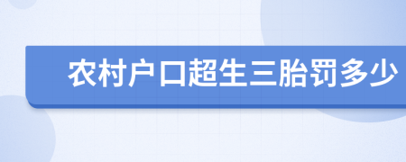 农村户口超生三胎罚多少