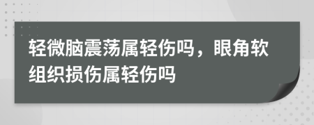 轻微脑震荡属轻伤吗，眼角软组织损伤属轻伤吗