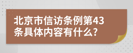北京市信访条例第43条具体内容有什么?