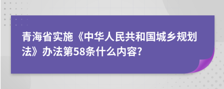 青海省实施《中华人民共和国城乡规划法》办法第58条什么内容?