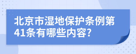北京市湿地保护条例第41条有哪些内容?