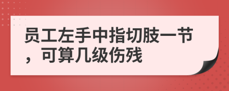 员工左手中指切肢一节，可算几级伤残