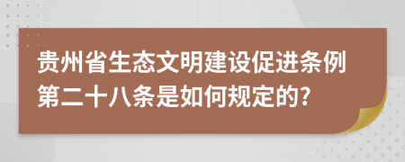 贵州省生态文明建设促进条例第二十八条是如何规定的?