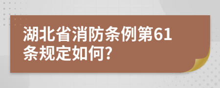 湖北省消防条例第61条规定如何?