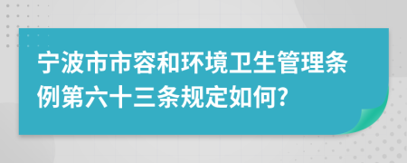 宁波市市容和环境卫生管理条例第六十三条规定如何?