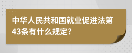 中华人民共和国就业促进法第43条有什么规定?