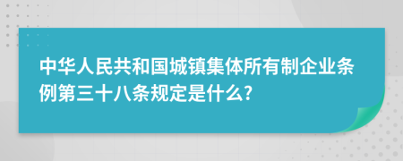 中华人民共和国城镇集体所有制企业条例第三十八条规定是什么?