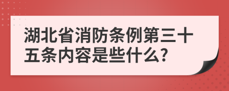 湖北省消防条例第三十五条内容是些什么?