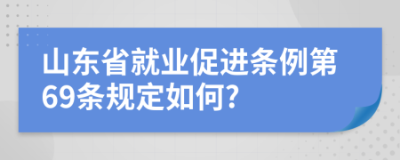 山东省就业促进条例第69条规定如何?