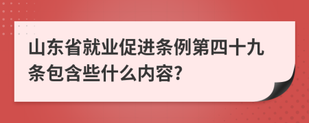 山东省就业促进条例第四十九条包含些什么内容?