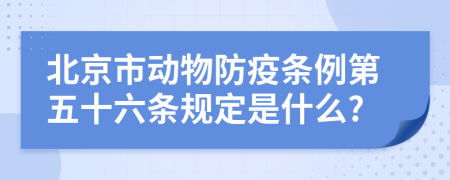 北京市动物防疫条例第五十六条规定是什么?