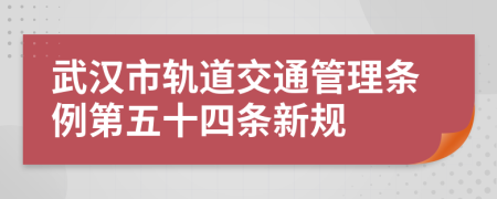 武汉市轨道交通管理条例第五十四条新规