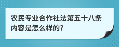 农民专业合作社法第五十八条内容是怎么样的?