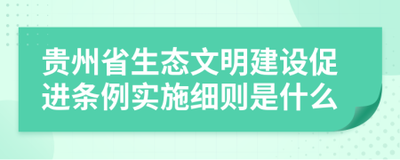 贵州省生态文明建设促进条例实施细则是什么