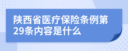 陕西省医疗保险条例第29条内容是什么