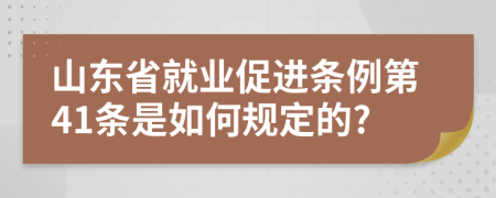 山东省就业促进条例第41条是如何规定的?