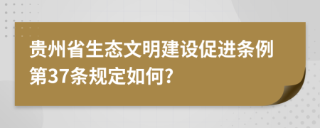 贵州省生态文明建设促进条例第37条规定如何?