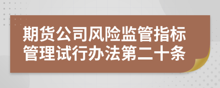 期货公司风险监管指标管理试行办法第二十条