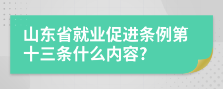 山东省就业促进条例第十三条什么内容?