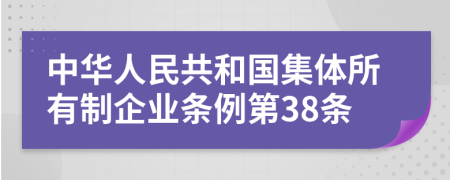 中华人民共和国集体所有制企业条例第38条