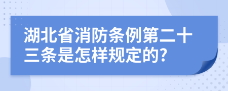 湖北省消防条例第二十三条是怎样规定的?