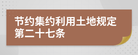 节约集约利用土地规定第二十七条