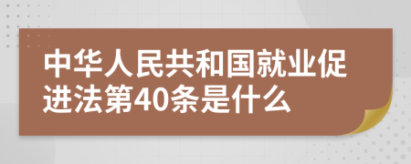 中华人民共和国就业促进法第40条是什么