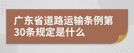 广东省道路运输条例第30条规定是什么