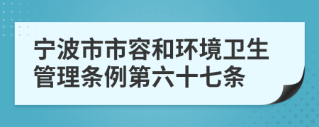 宁波市市容和环境卫生管理条例第六十七条