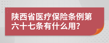 陕西省医疗保险条例第六十七条有什么用？