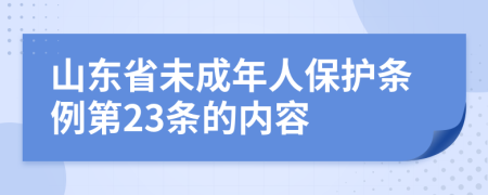 山东省未成年人保护条例第23条的内容