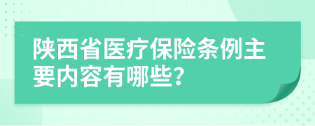 陕西省医疗保险条例主要内容有哪些？