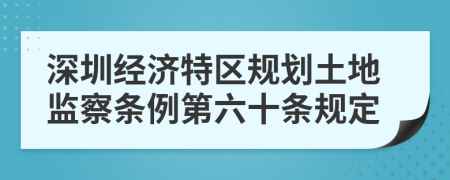 深圳经济特区规划土地监察条例第六十条规定