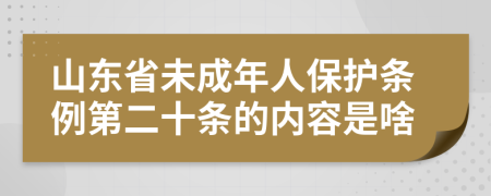 山东省未成年人保护条例第二十条的内容是啥