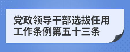 党政领导干部选拔任用工作条例第五十三条