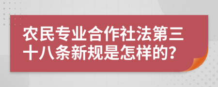 农民专业合作社法第三十八条新规是怎样的？