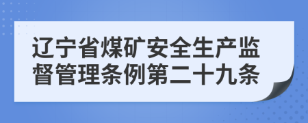 辽宁省煤矿安全生产监督管理条例第二十九条