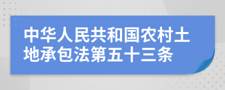 中华人民共和国农村土地承包法第五十三条