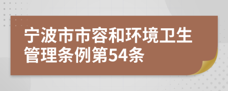 宁波市市容和环境卫生管理条例第54条