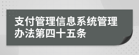 支付管理信息系统管理办法第四十五条