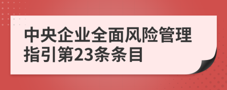 中央企业全面风险管理指引第23条条目