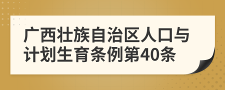 广西壮族自治区人口与计划生育条例第40条