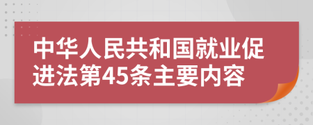 中华人民共和国就业促进法第45条主要内容