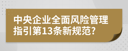 中央企业全面风险管理指引第13条新规范?