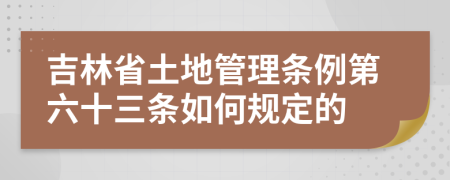 吉林省土地管理条例第六十三条如何规定的