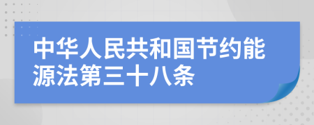 中华人民共和国节约能源法第三十八条