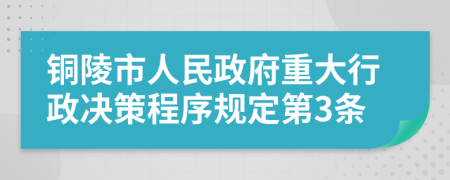 铜陵市人民政府重大行政决策程序规定第3条