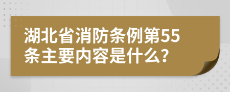 湖北省消防条例第55条主要内容是什么？