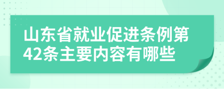 山东省就业促进条例第42条主要内容有哪些