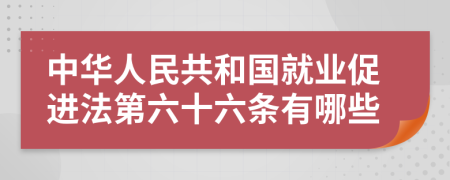 中华人民共和国就业促进法第六十六条有哪些